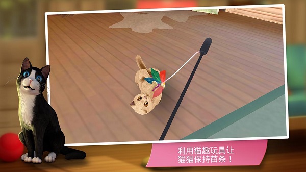 咪咪猫舍游戏 咪咪猫舍手游下载