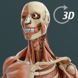 complete anatomy中文版