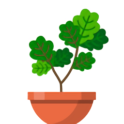 玻璃花房terrarium最新版(暂未上线)