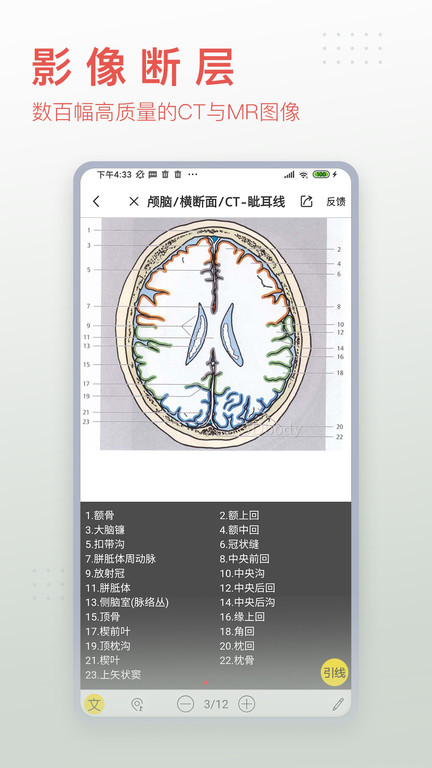 人体解剖3d软件 人体解剖3d软件app下载